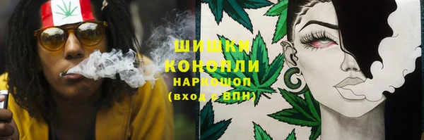 эйфоретик Арсеньев