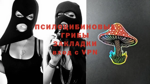 эйфоретик Арсеньев
