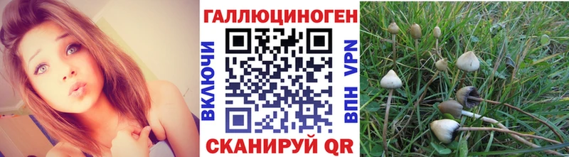 Псилоцибиновые грибы мицелий  где купить наркоту  Олёкминск 