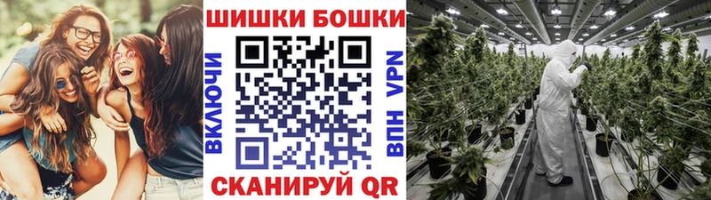 Бошки Шишки план  Олёкминск 